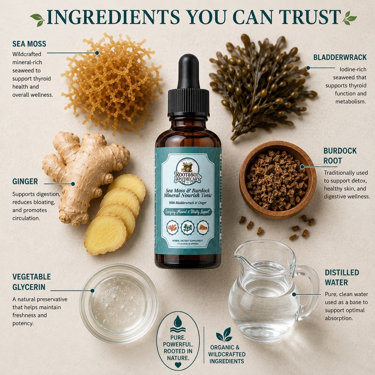 Root&Sol Apothecary Sea Moss Burdock Bladderwrack Ginger Tonic 1 fl oz