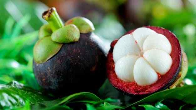 multivitamin mineral blend – Mangosteen Fruit Extract 2B – garcinia mangostana