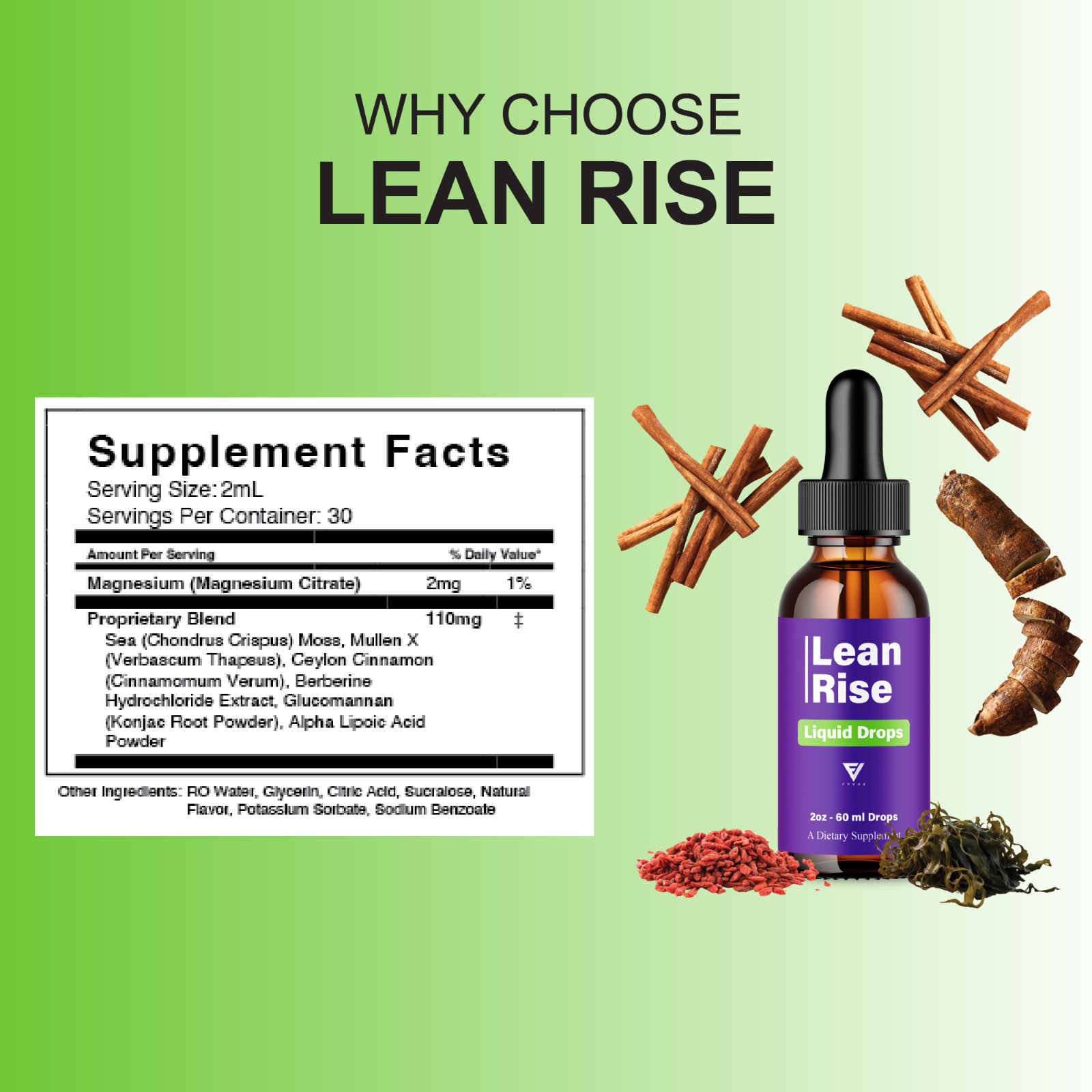 (5 Pack) Lean Rise Weight Support Drops, LeanRise Advanced Liquid Health (10oz)