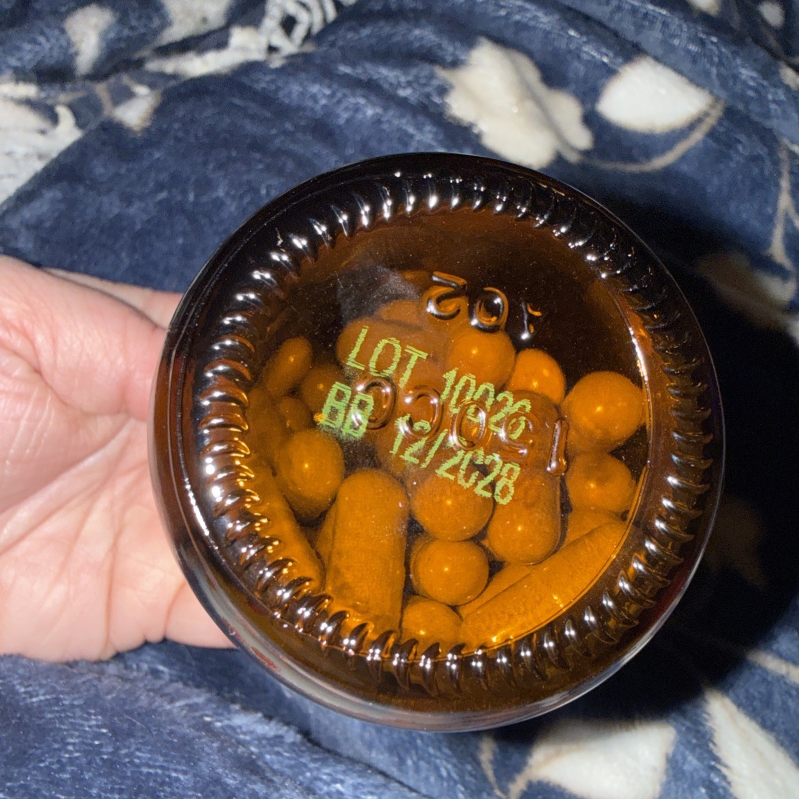 Real Mushrooms Real Mycelium Lion Mane Memory Mental Clarity 60 Count Exp 12/28