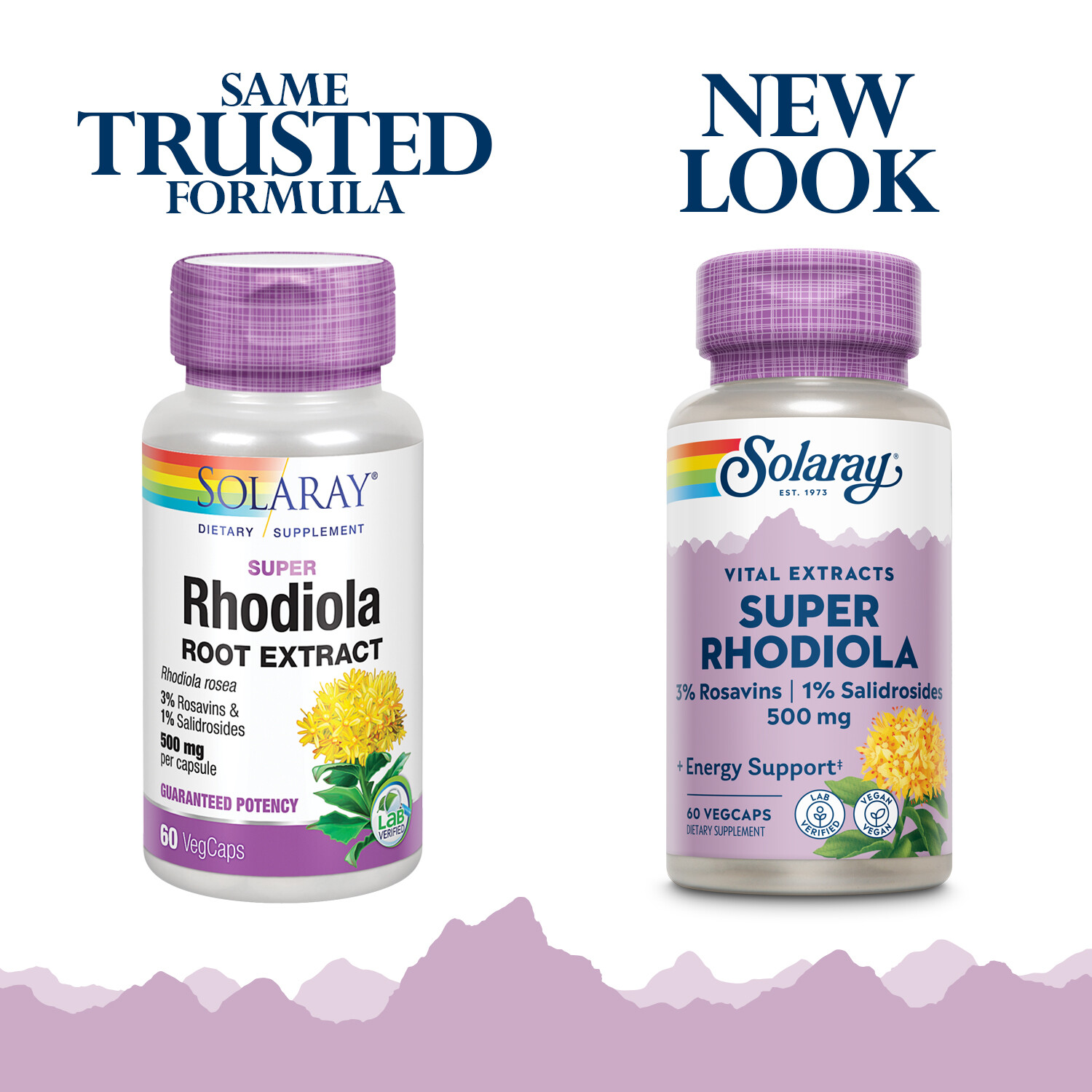 Solaray Super Rhodiola Root Extract 500mg | 60 VegCaps