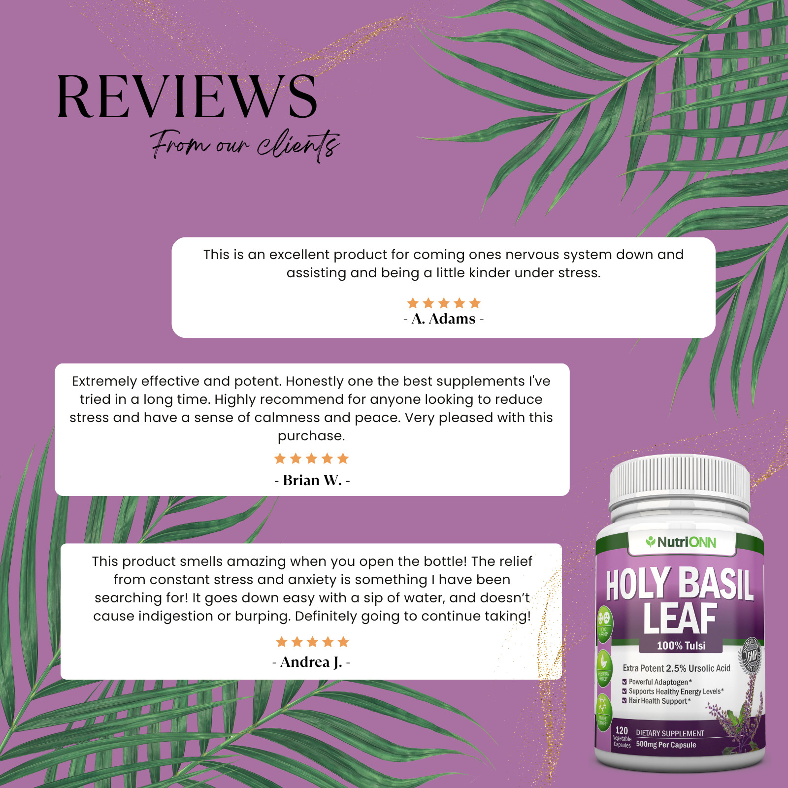 Holy Basil Leaf Extract – 500mg – 2.5% Ursolic Acid – 120 Vegan Capsules