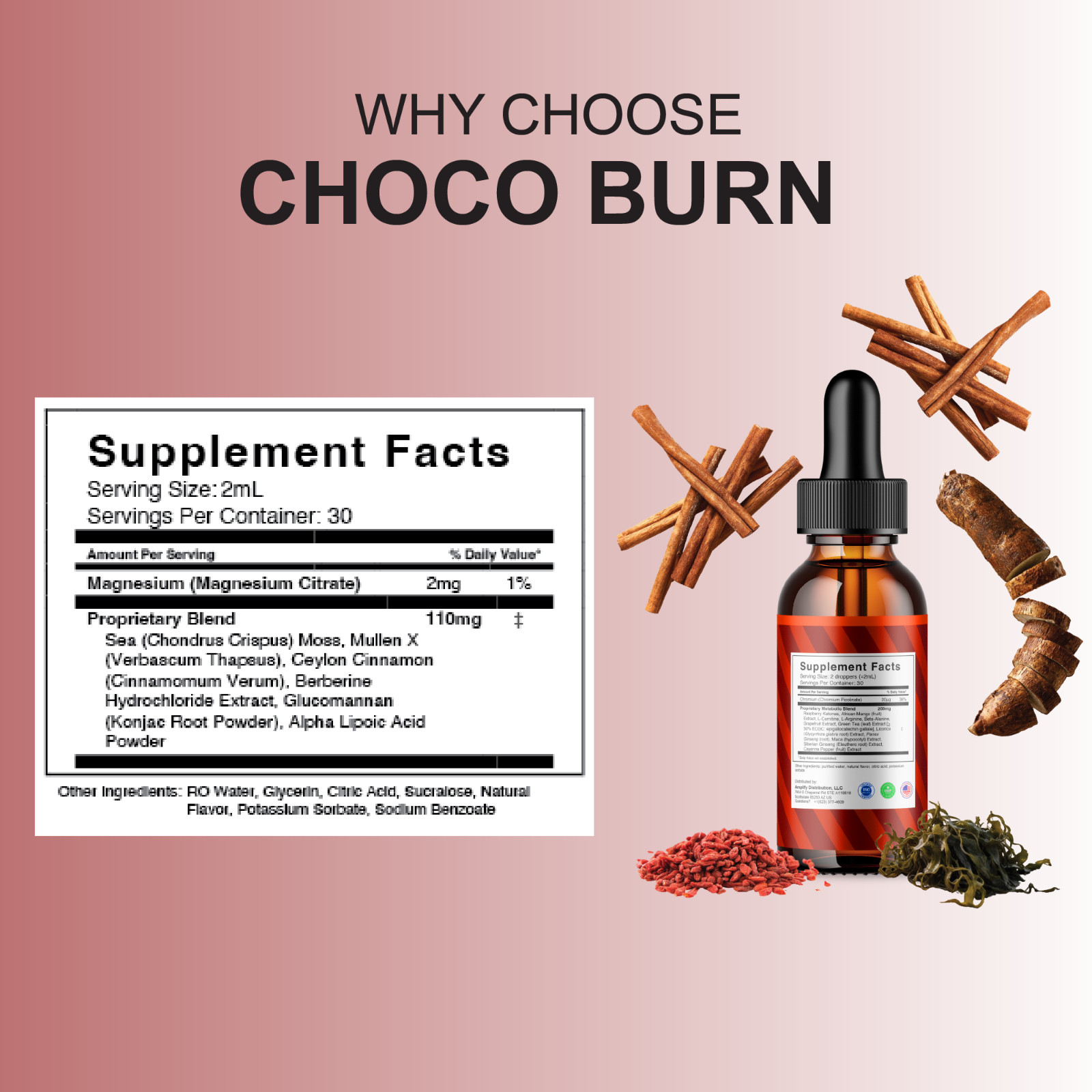 (5 Pack) Choco Burn Premium Weight Management Liquid Drop Supplement (10oz)