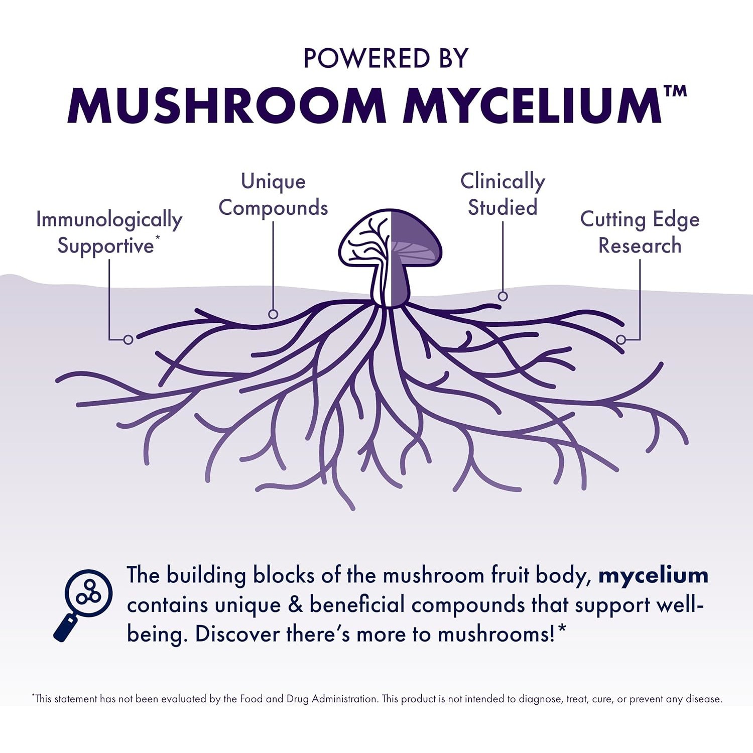 Host Defense Mushrooms Lion’s Mane Extract,Memory,Immune,2FlOz