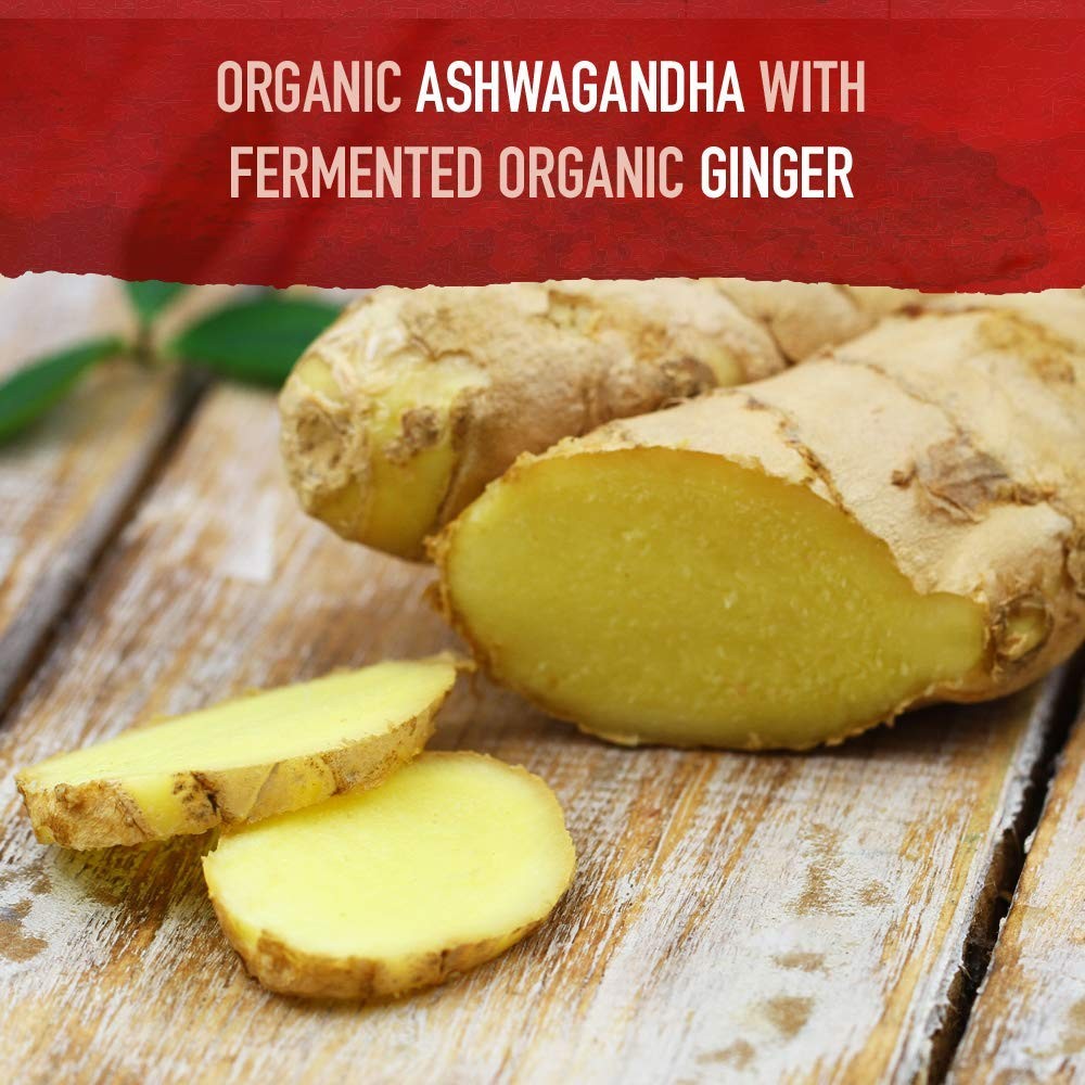 Garden of Life Organic Ashwagandha Supplement 60 Count (Pack 1), No Color