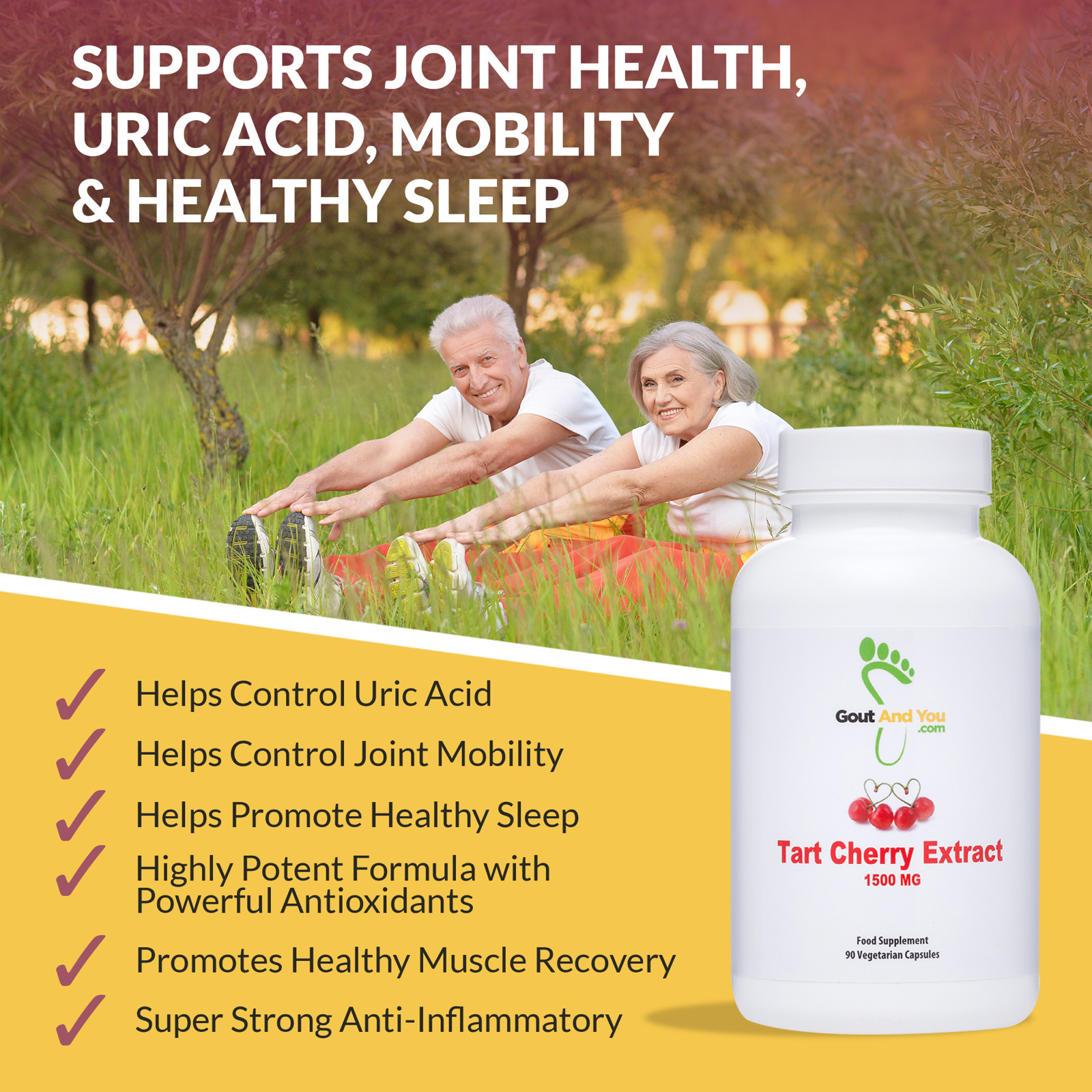 2 Bottles Tart Cherry Extract by GoutandYou.com -3000 mg – Gluten Free – Vegan