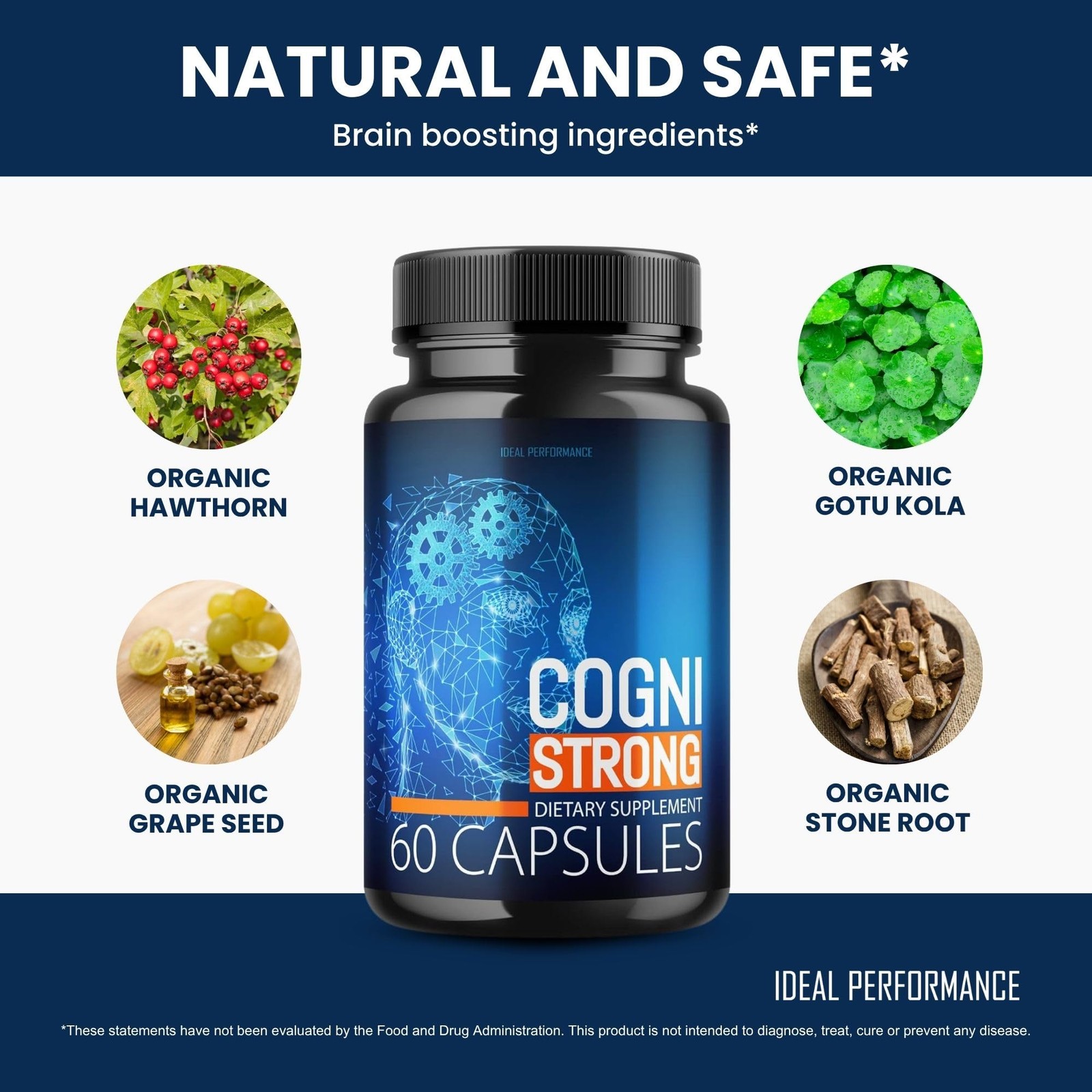 CogniStrong General Wellness Supplement – 300 Capsules (5 Pack)