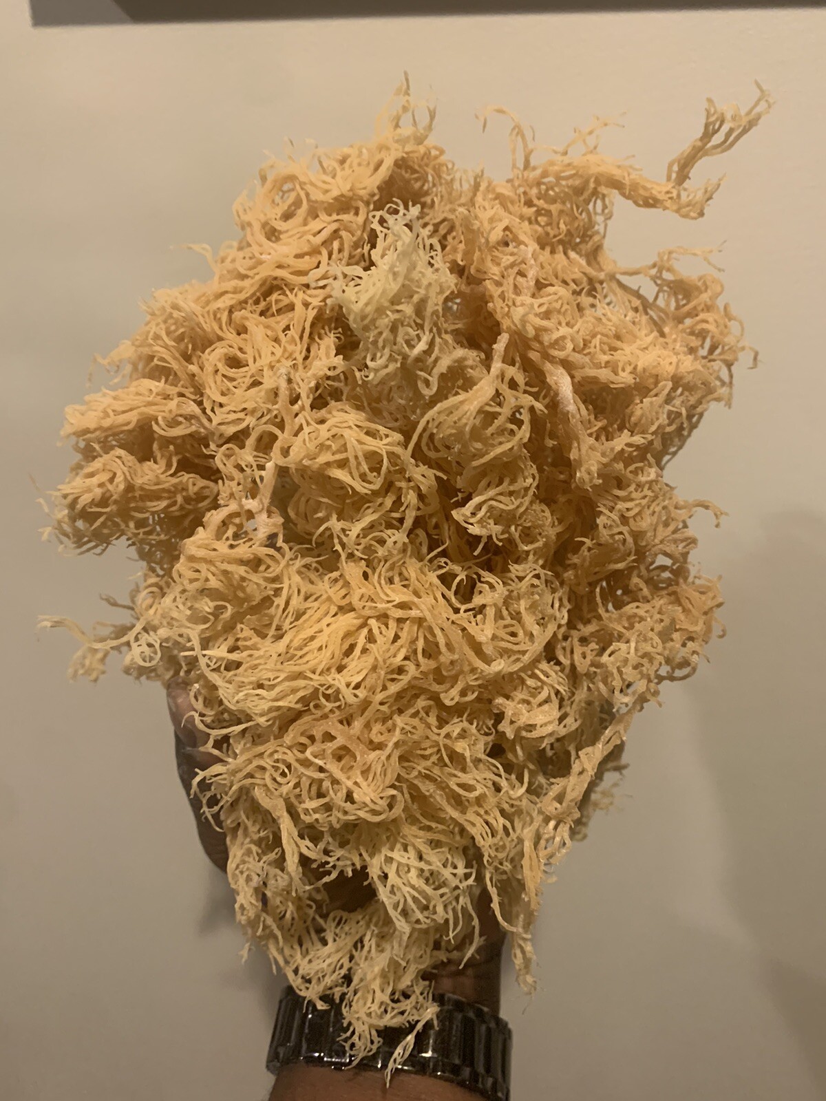 Sea Moss #Dr. Sebi Inspired St Lucia Wildcrafted #Vegan #Plant-Based #Alkaline