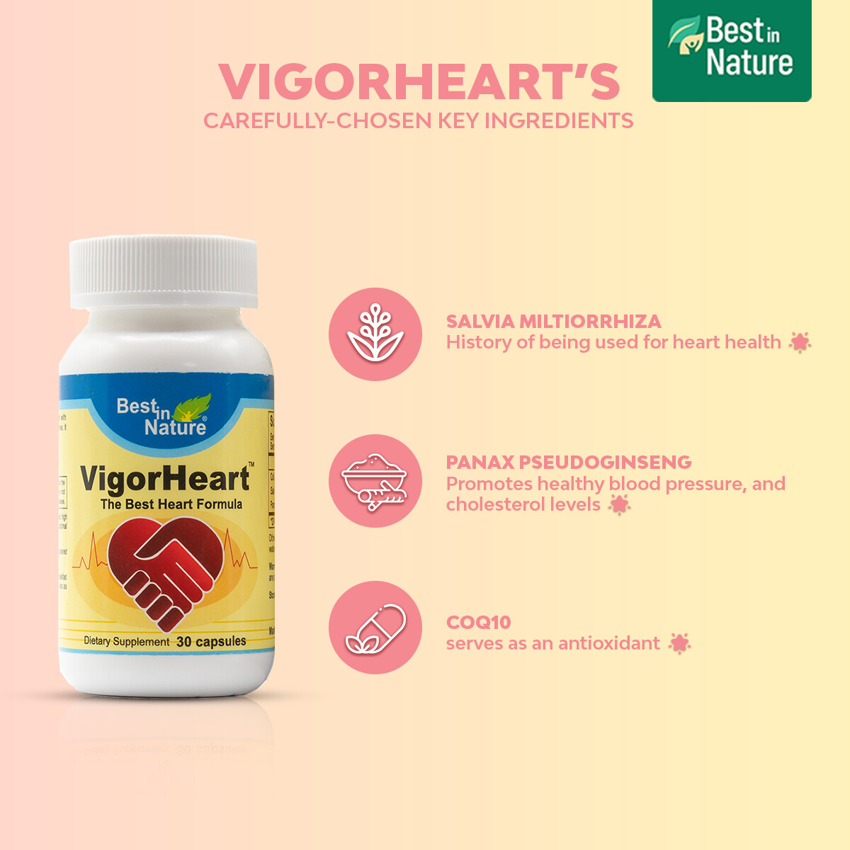 Best in Nature VigorHeart™ – The Natural Heart Supplements 90 capsules