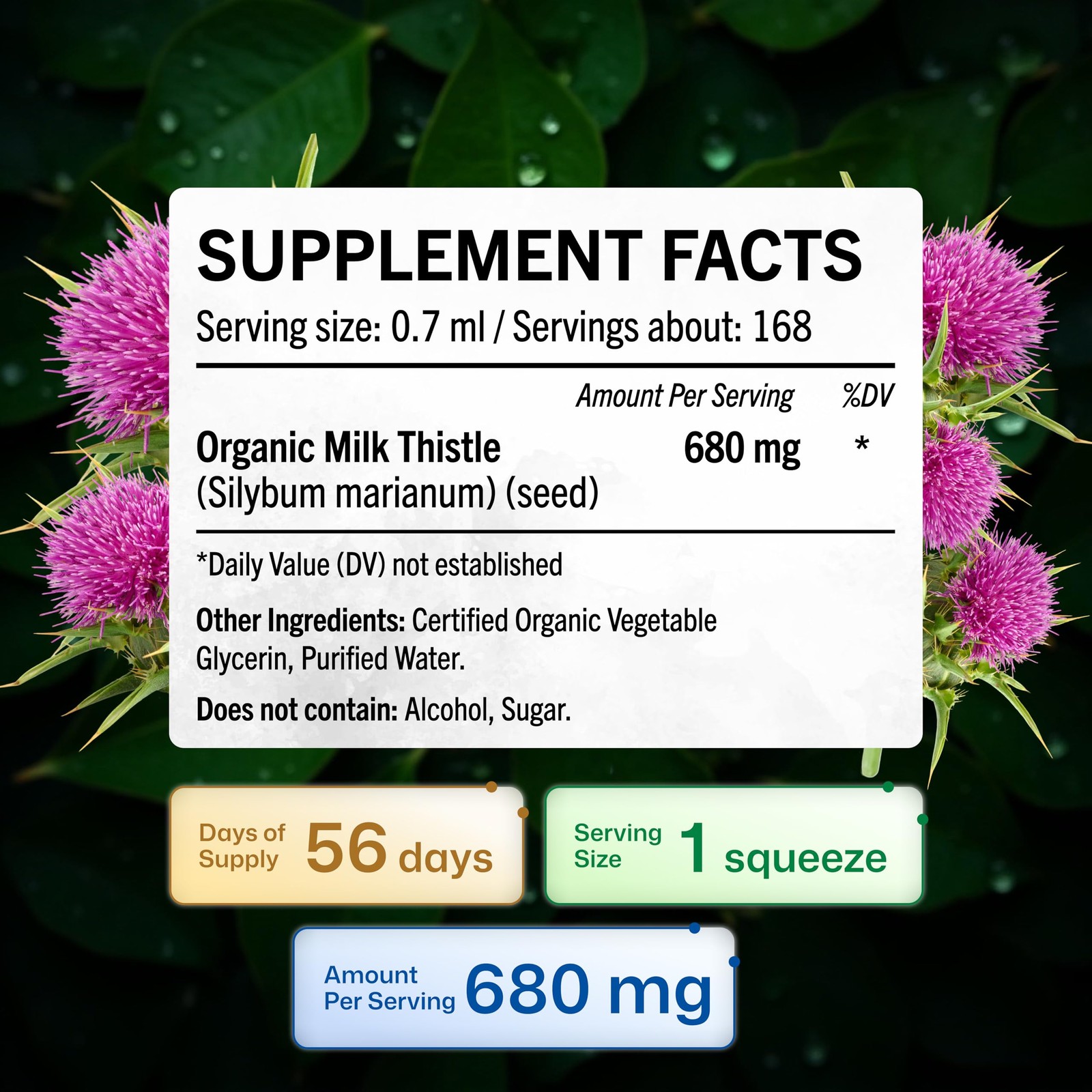 BIO KRAUTER® Milk Thistle Supplement for Liver Cleanse & 4 Fl Oz (Pack of 1)