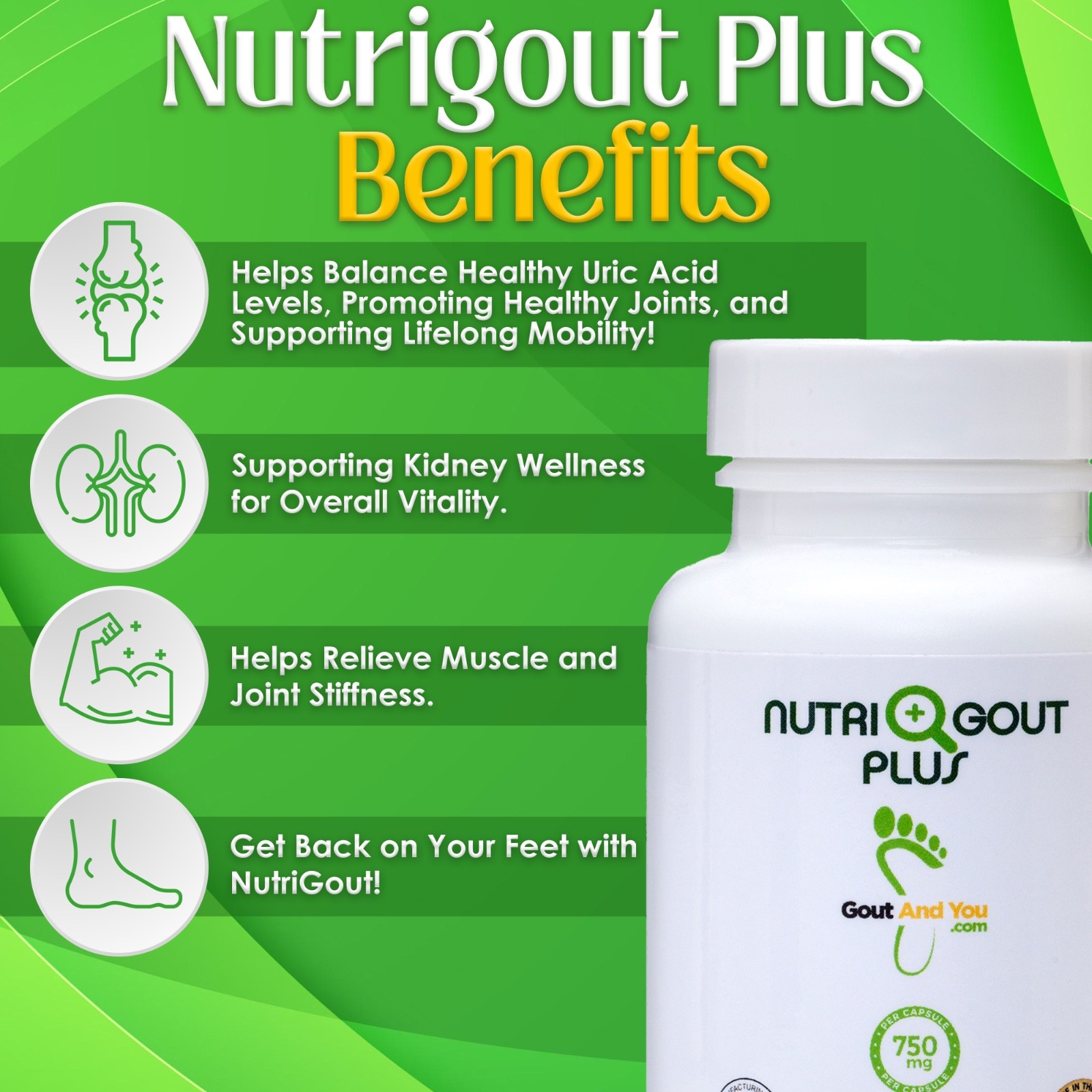 Nutrigout Plus Uric Acid Support by Gout and You