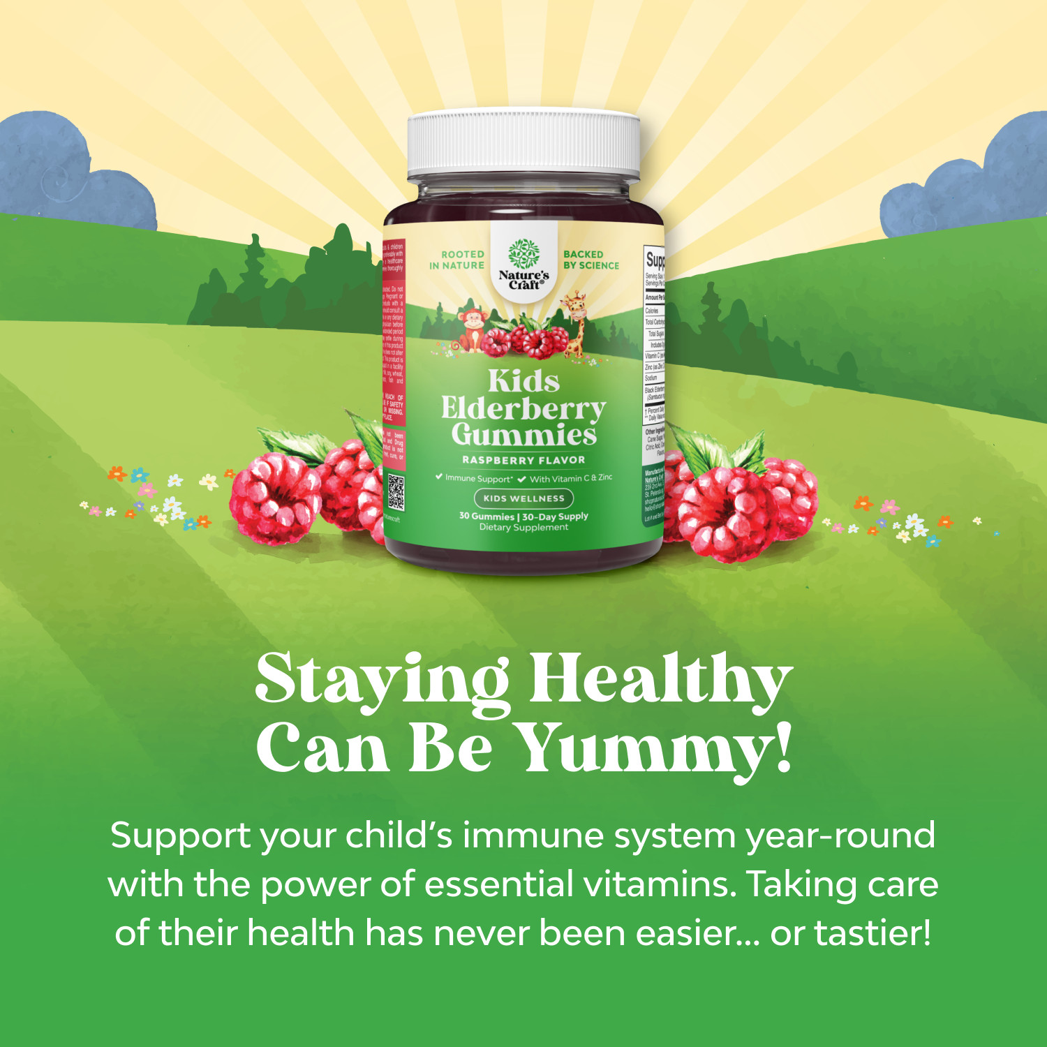 Natures Craft Kids Elderberry Gummies with Zinc and Vitamin C Vegan Non-GMO 30ct