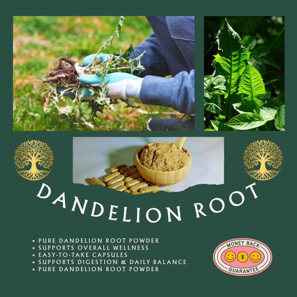 Dandelion Root Powder Capsules | Herbal Supplemen – 5:1 Extract – 100 Capsules