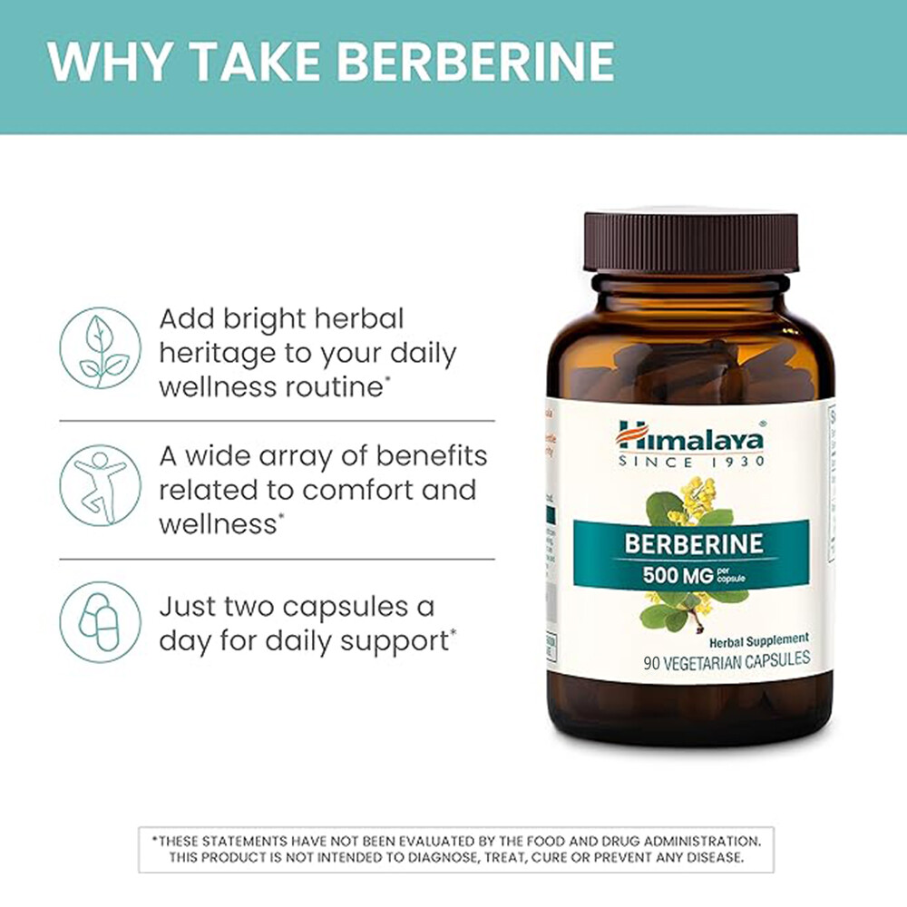 BERBERINE 500M Gcopsule Herbal Supplement 90 VEGETARIAN CAPSULES