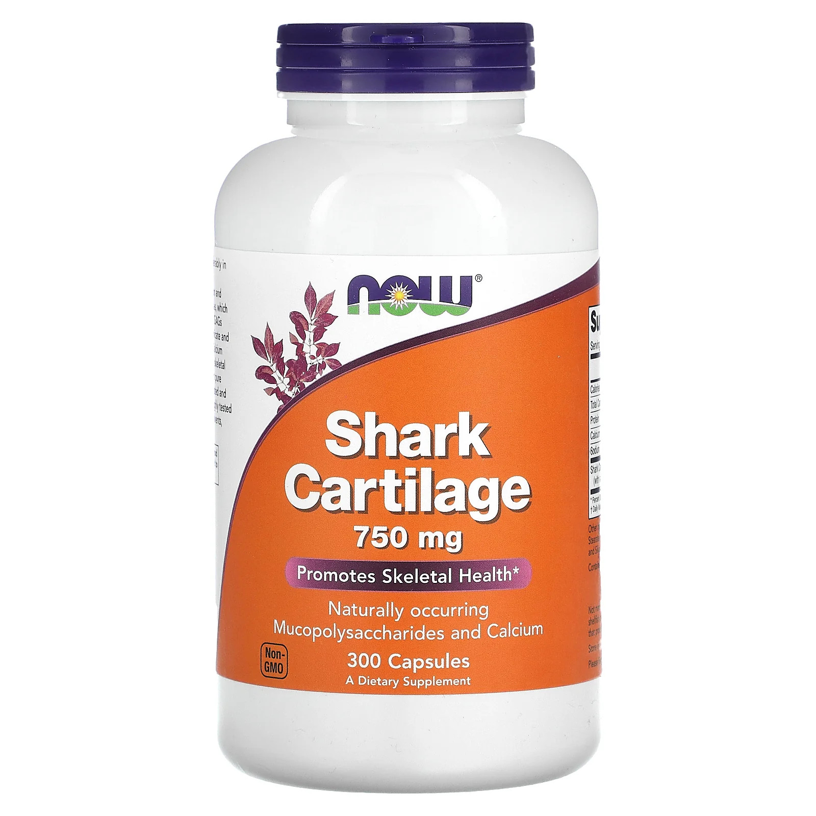 2 X NOW Foods, Shark Cartilage, 750 mg, 300 Capsules