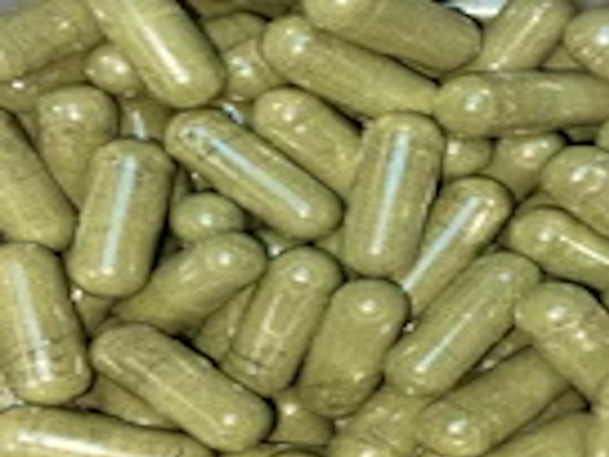 Bacopa Monnieri Veggie Capsules – No Fillers – 100 ct., 500mg