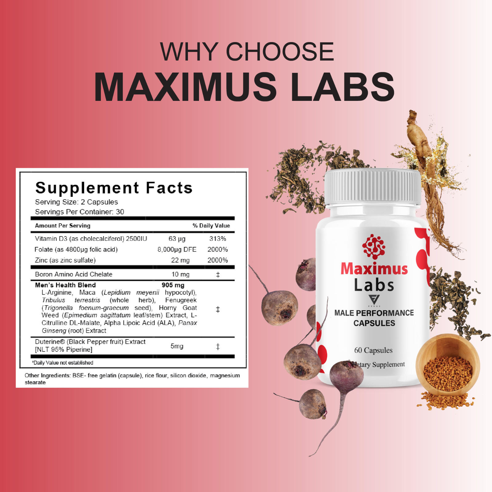 Maximus Labs Male Support Pills, MaximusLabs Supplement (60 Capsules)