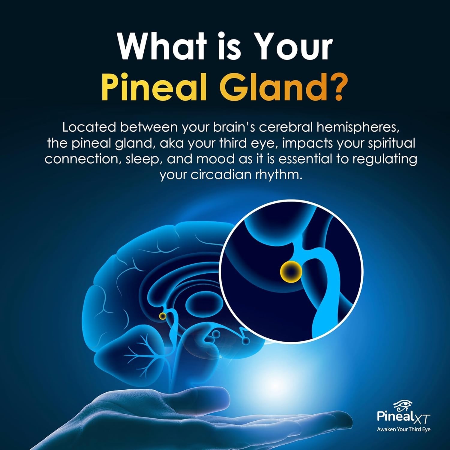 Pineal XT Gold – Pineal Gland Supplement – Third Eye Awakening – Focus and Memor