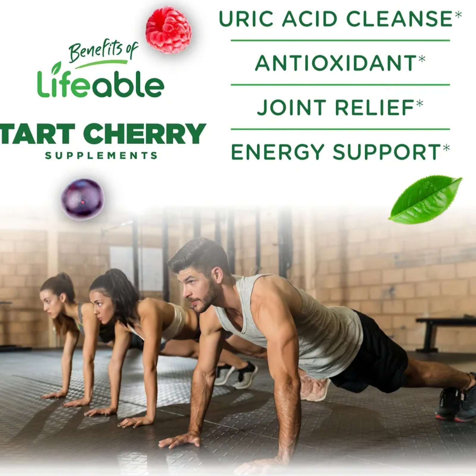 Lifeable Tart Cherry Gummies Uric Acid Support 2 PACK Supplement 60 Count