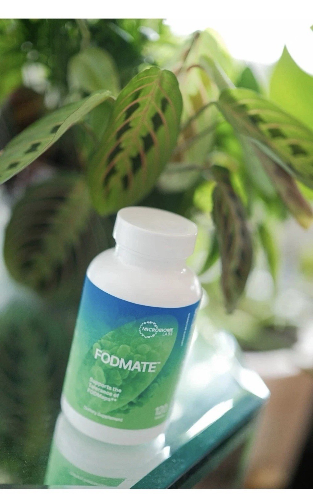 Microbiome Labs FODMate 120 Caps Supports Digestive Comfort and Relief #410