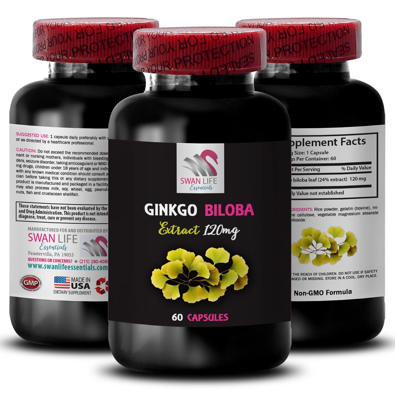 Ginkgo supplement – GINKGO BILOBA EXTRACT – Natural antioxidant 1 Bot 60 Caps