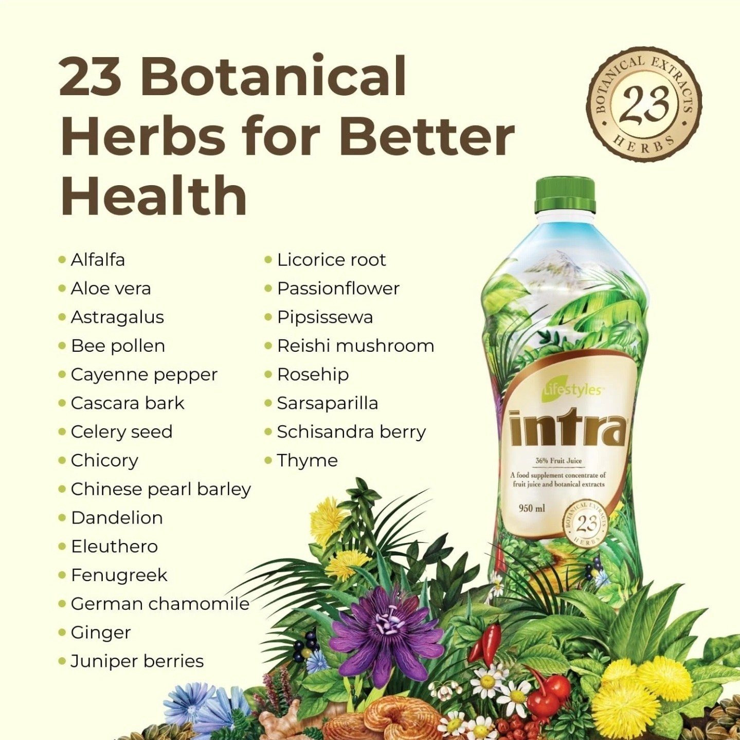 SALE‼️😱 1 PC INTRA ( Herbal Botanical Drink 🌱