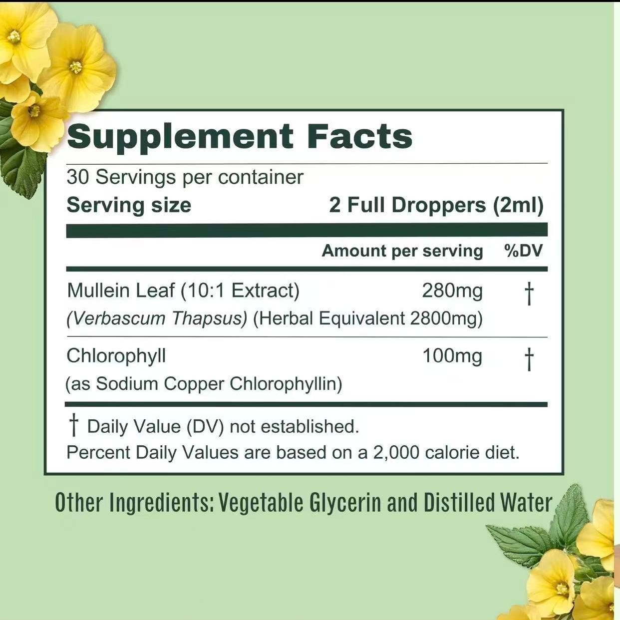 Drops Leaf & Chlorophyll Mullein for Lung Detox & Mucus Cleanse – 30 Servings