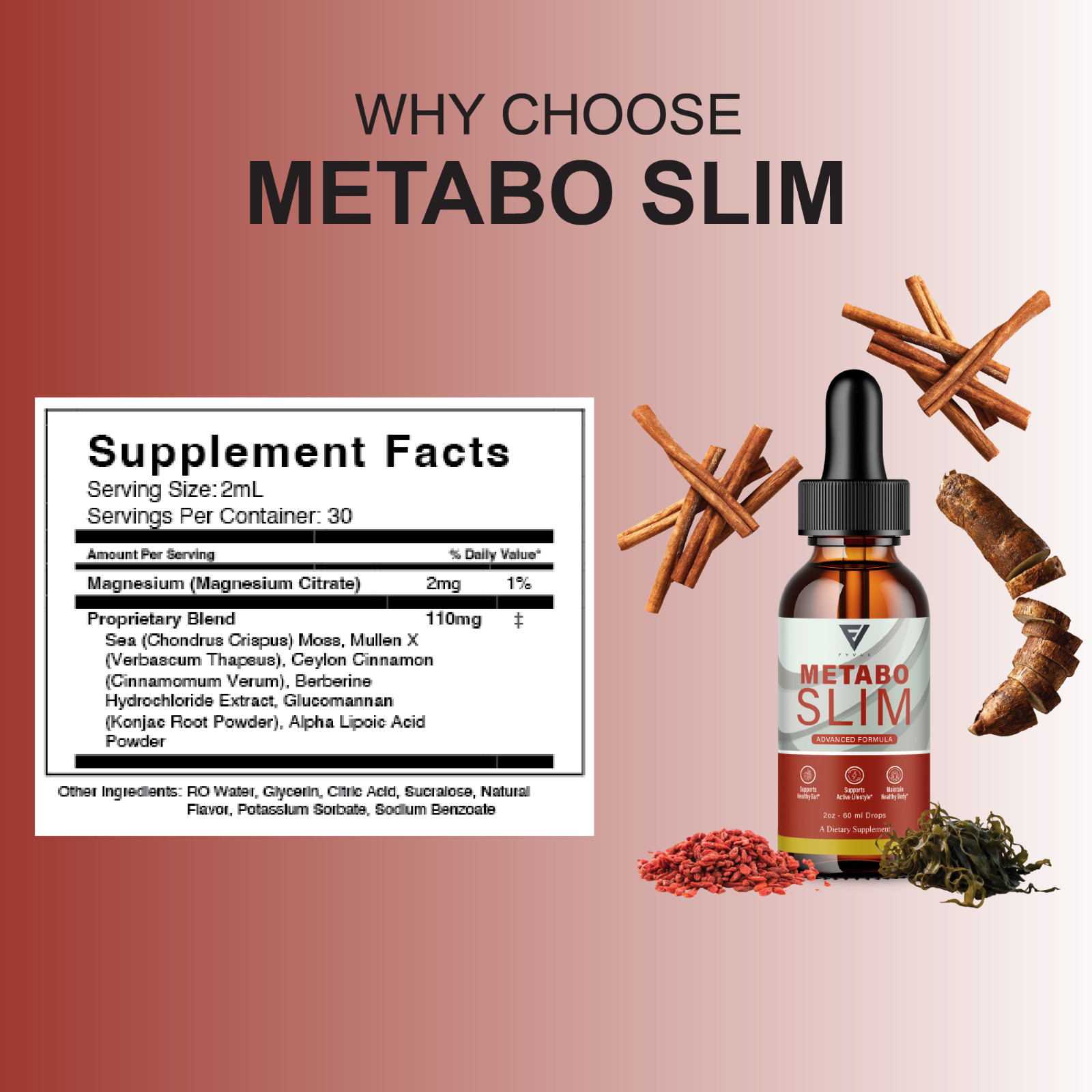 (5 Pack) Metabo Slim Weight Management, MetaboSlim Liquid Drops (10oz)