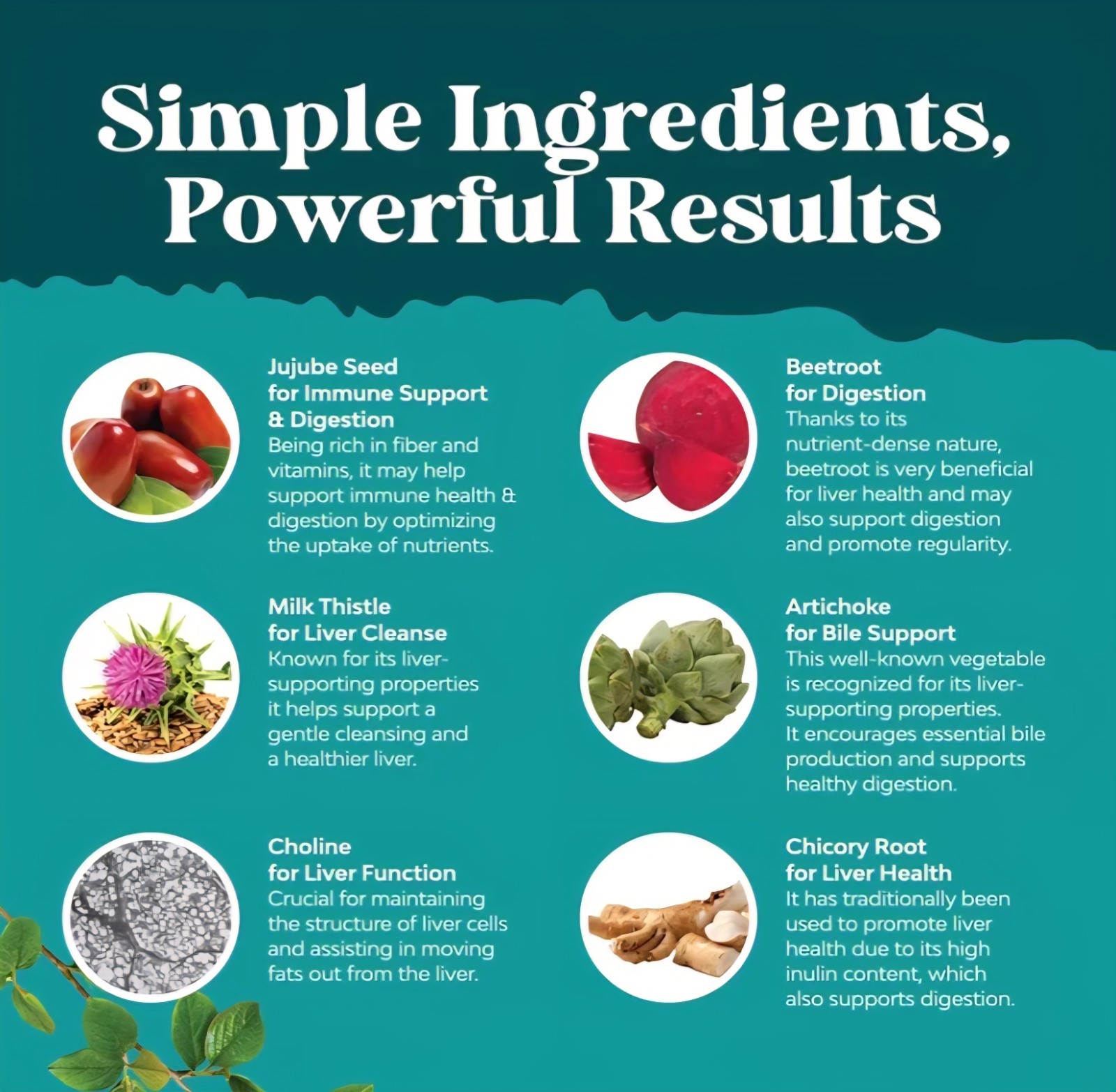 Nature’s Craft Liver Support w/ Milk Thistle 70 capsules 9/2027