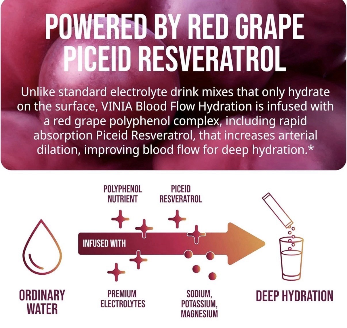 VINIA Resveratrol Electrolyte Hydration Powder Mix Variety Mix Blood Flow 10 Ct