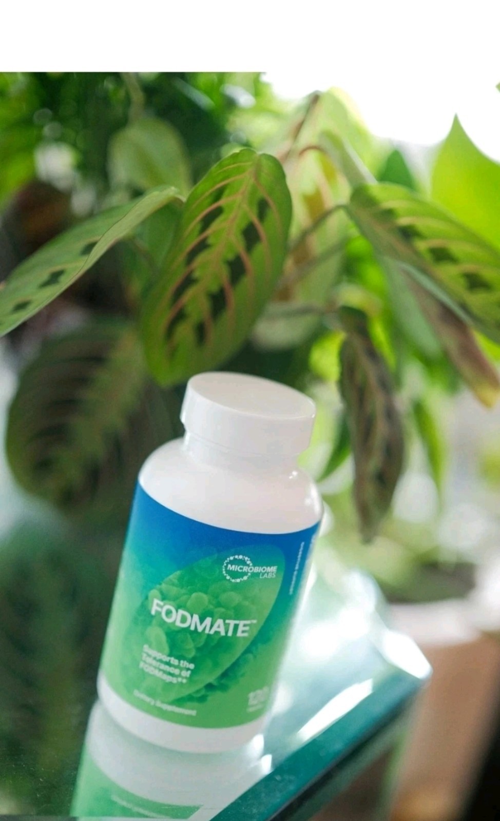 Microbiome Labs FODMate 120 Caps Supports Digestive Comfort and Relief #410