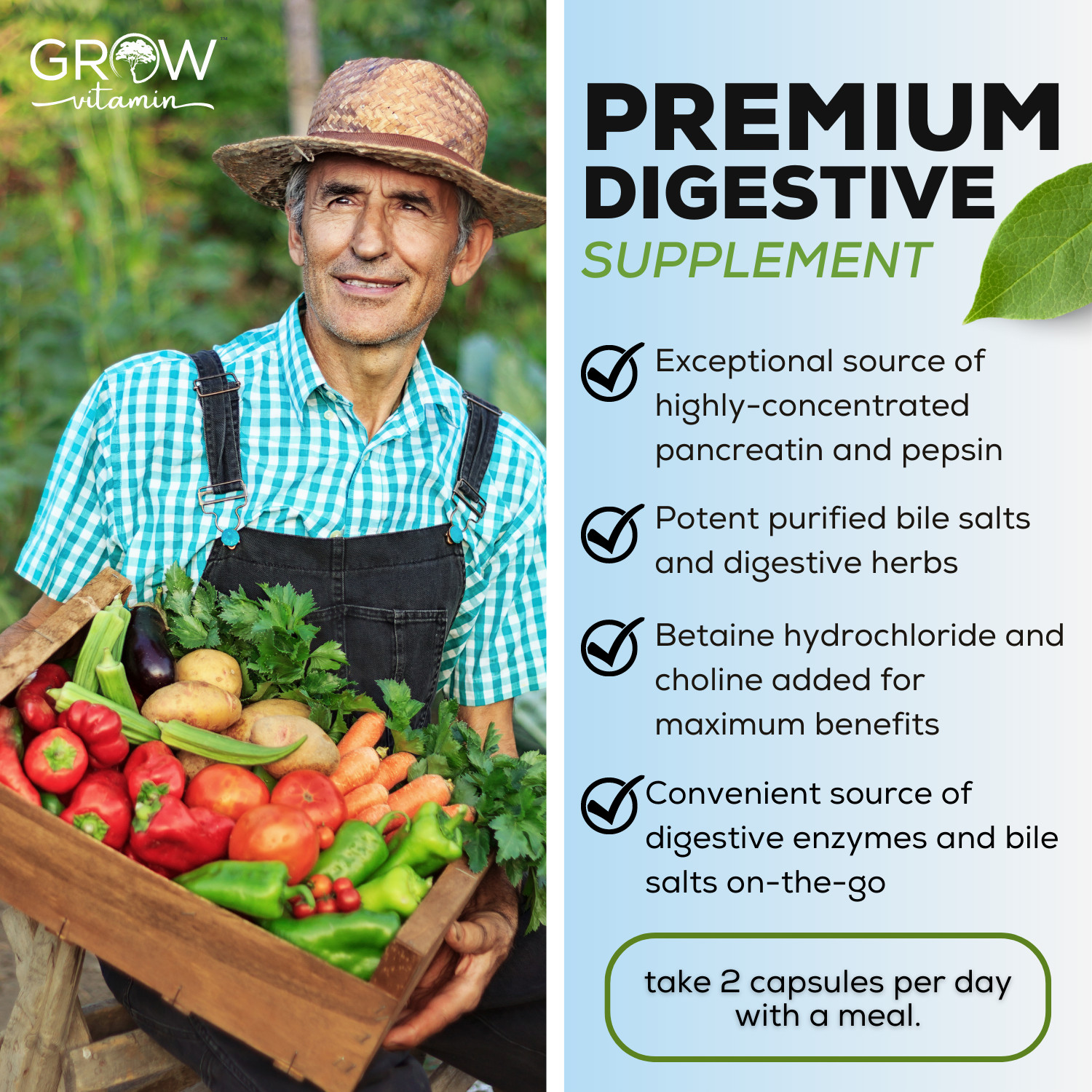 Grow Vitamin Original Gallbladder Formula