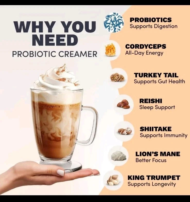 RYZE SUPERFOODS Probiotic Coffee Creamer with 6 Organic Adaptogenic Mushrooms &