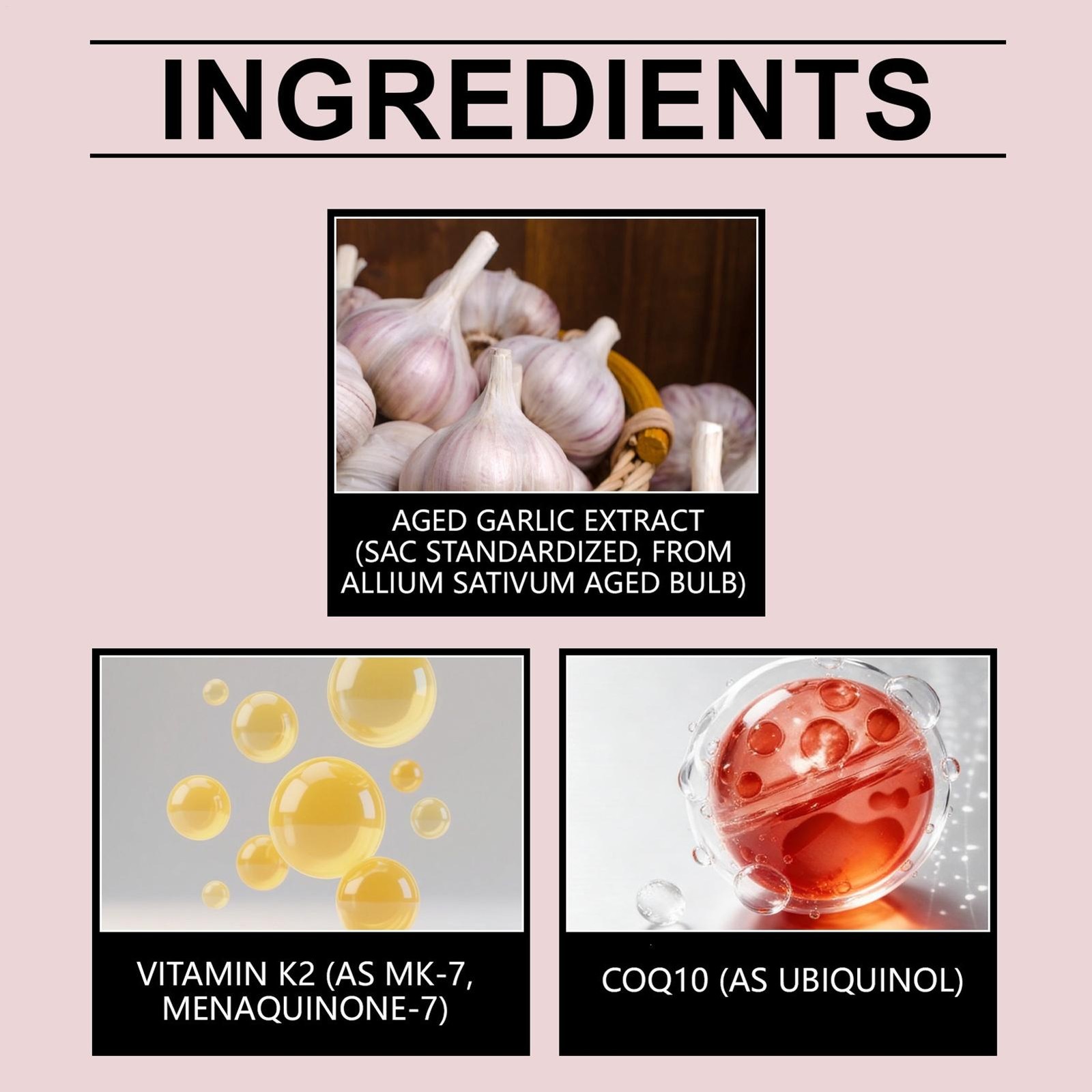 3 Aged X Odorless Garlic Extract 600mg Softgels With CoQ10 Ubiquinol 60 Count