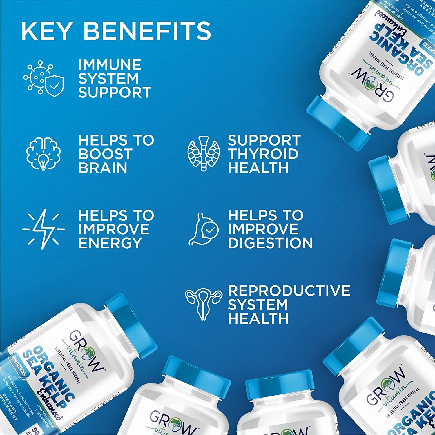 Thyroid Support Plus Supplement | Sea Kelp | Iodine, | 90 Capsules – EXP 2024