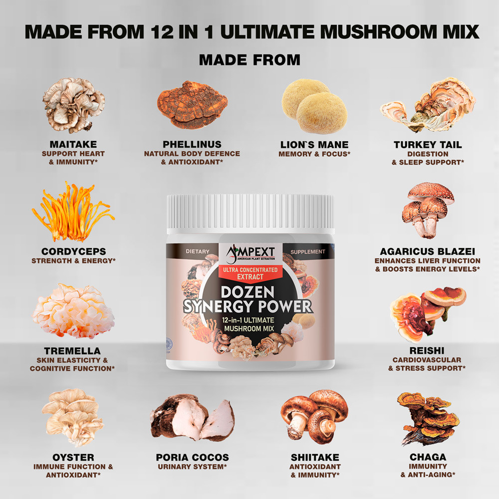 12-IN-1 Dozen Synergy Power Mushroom Extract – Only Fruiting Bodies, 100g