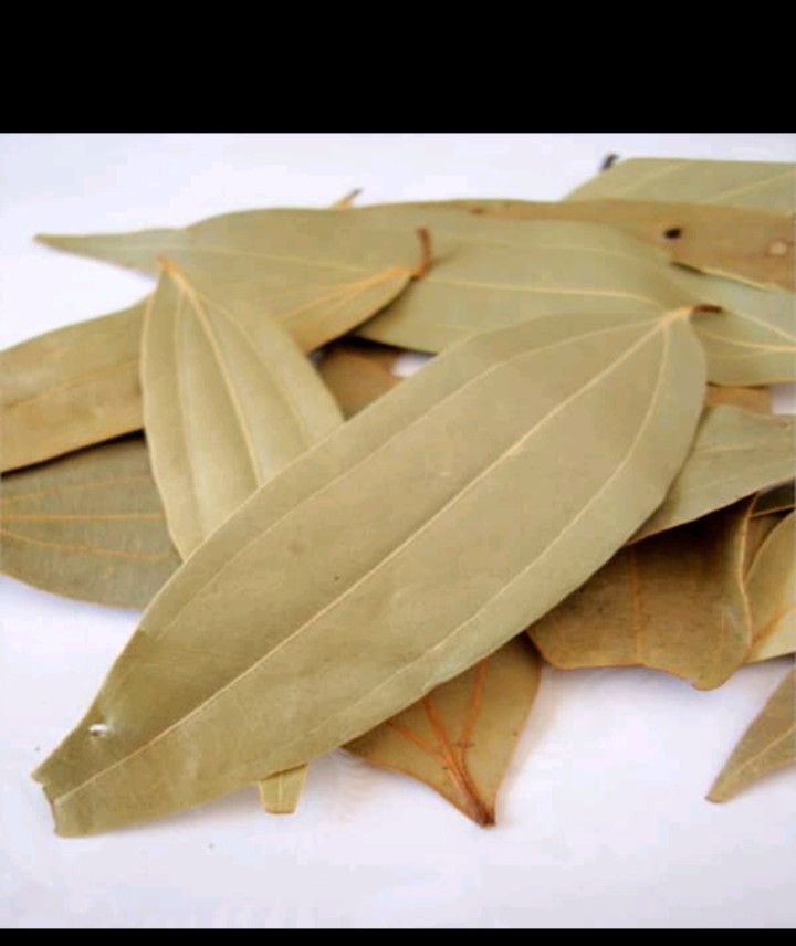 Original 100% organic cinnamon Leaf