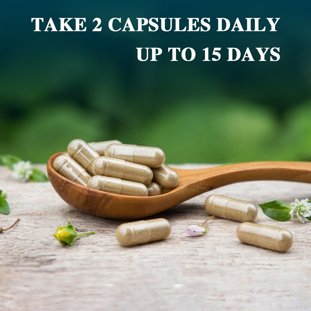 NEW Gut & Colon Support 15 Day Cleanse and Detox 30 Capsules Non-GMO