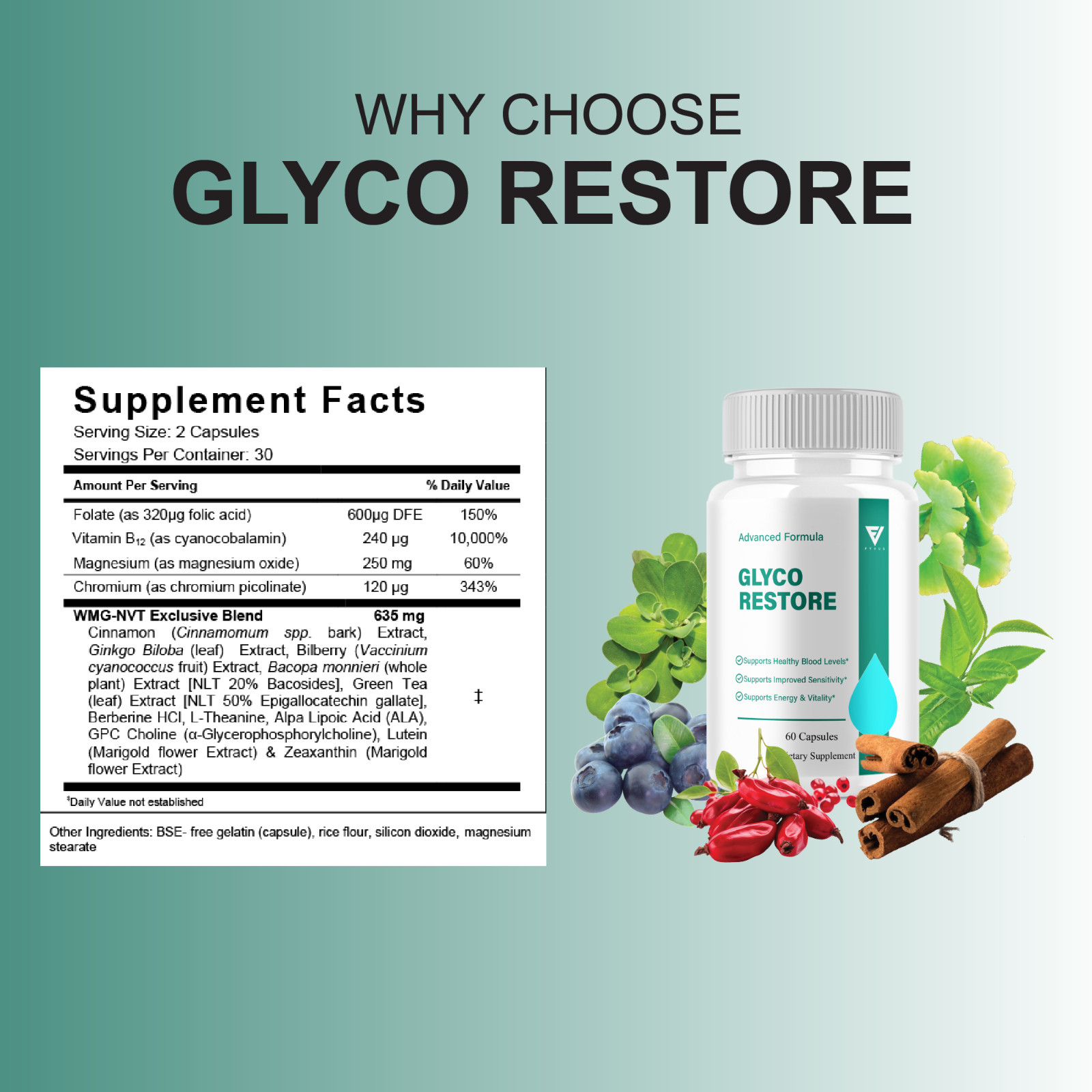 Glyco Restore Blood Support Supplement, GlycoRestore Pills (60 Capsules)