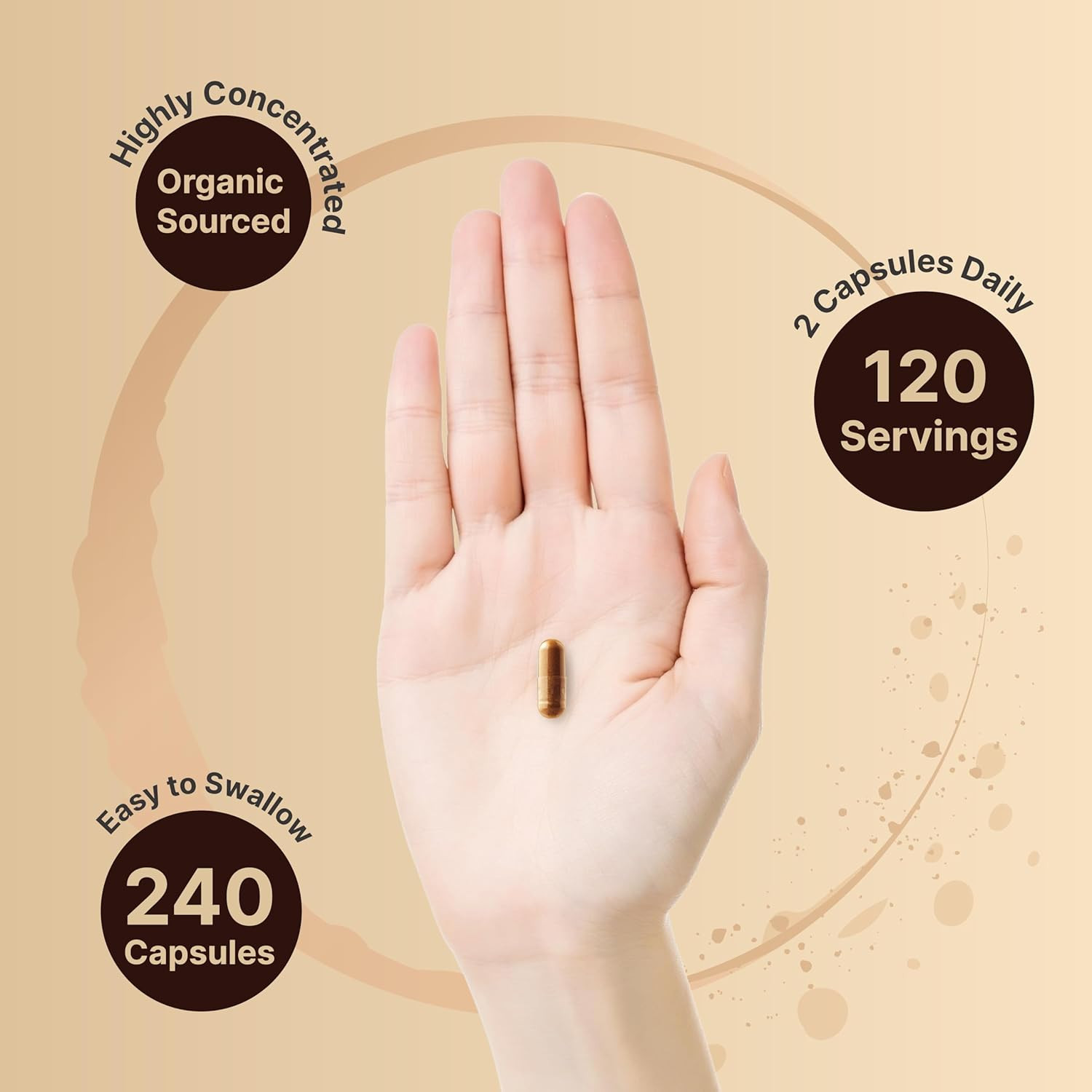 Ceylon Cinnamon per Serving, 240 Capsules | Made with Organic Sri Lanka Ceylon C