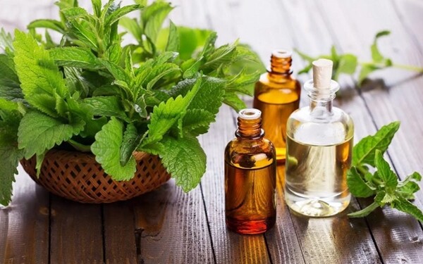 Patchouli Essential Oil | 1floz to 4floz | 100% Pure Natural Chemical Free