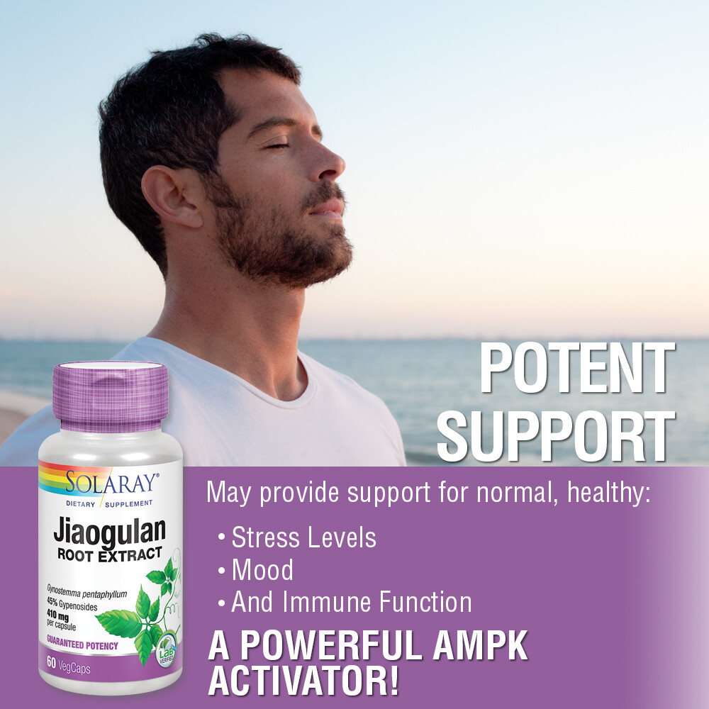 Solaray Guaranteed Potency Jiaogulan Root Extract, Veg Cap (Btl-Plastic) 410mg