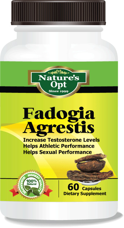 Fadogia Agrestis, Helps Testosterone Levels and Sexual Performance