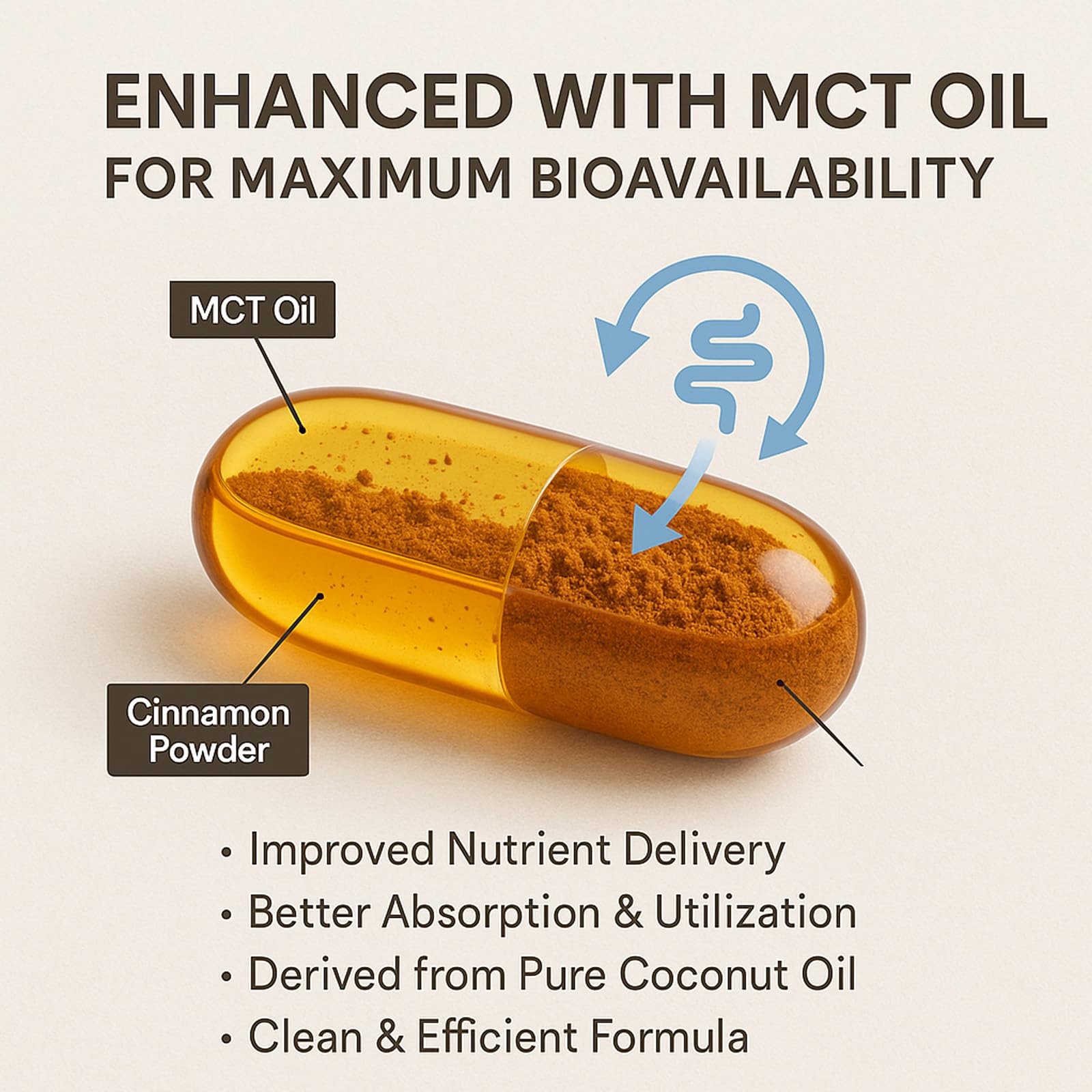Ceylon Cinnamon 300 Softgels with MCT Oil True Ceylon Cinnamon Suppl (Pack of 1)