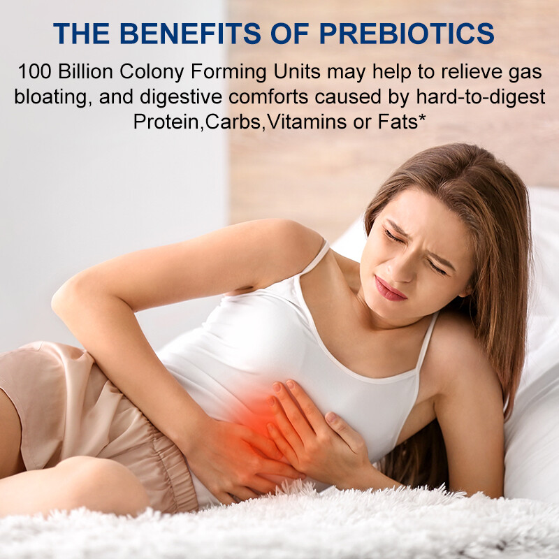 Probiotic Lactobacillus Reuteri 100 Billion CFU/gm – 400mg – 240 Capsules