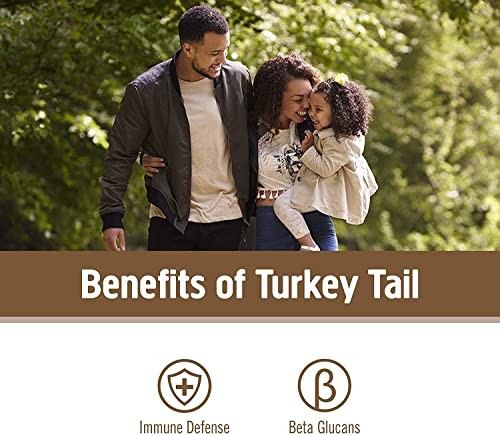 Om Mushroom Superfood Turkey Tail Mushroom Capsules, Immune Support