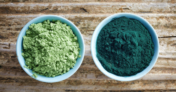 Potent Stem Cell Capsules – Organic Blue Green Algae 500 – Red Marine Algae 3B