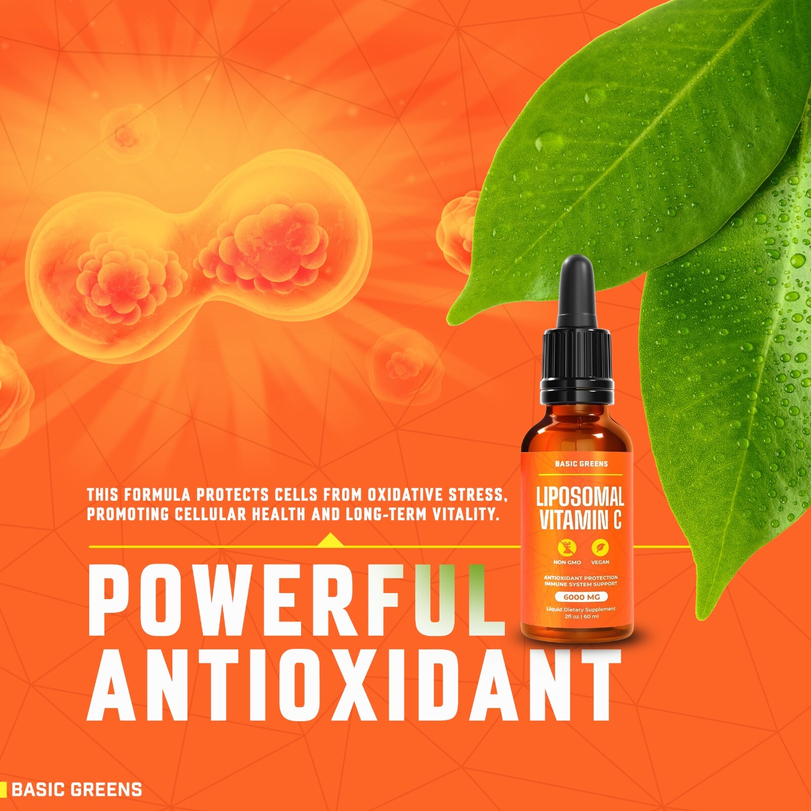 Liposomal Vitamin C Liquid – High Absorption Immune Support & Antioxidant Boost