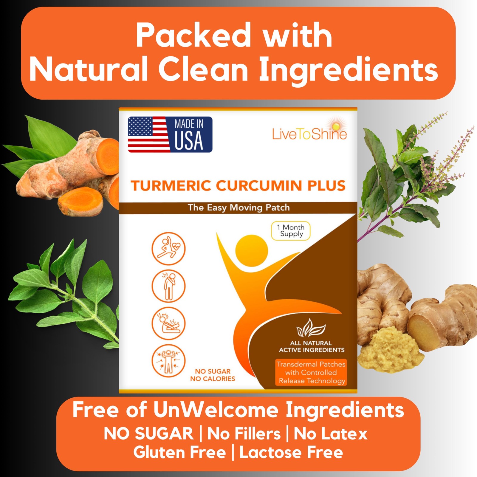 Live To Shine Turmeric Curcumin Topical Patches – Easy 1 Count (Pack of 30)