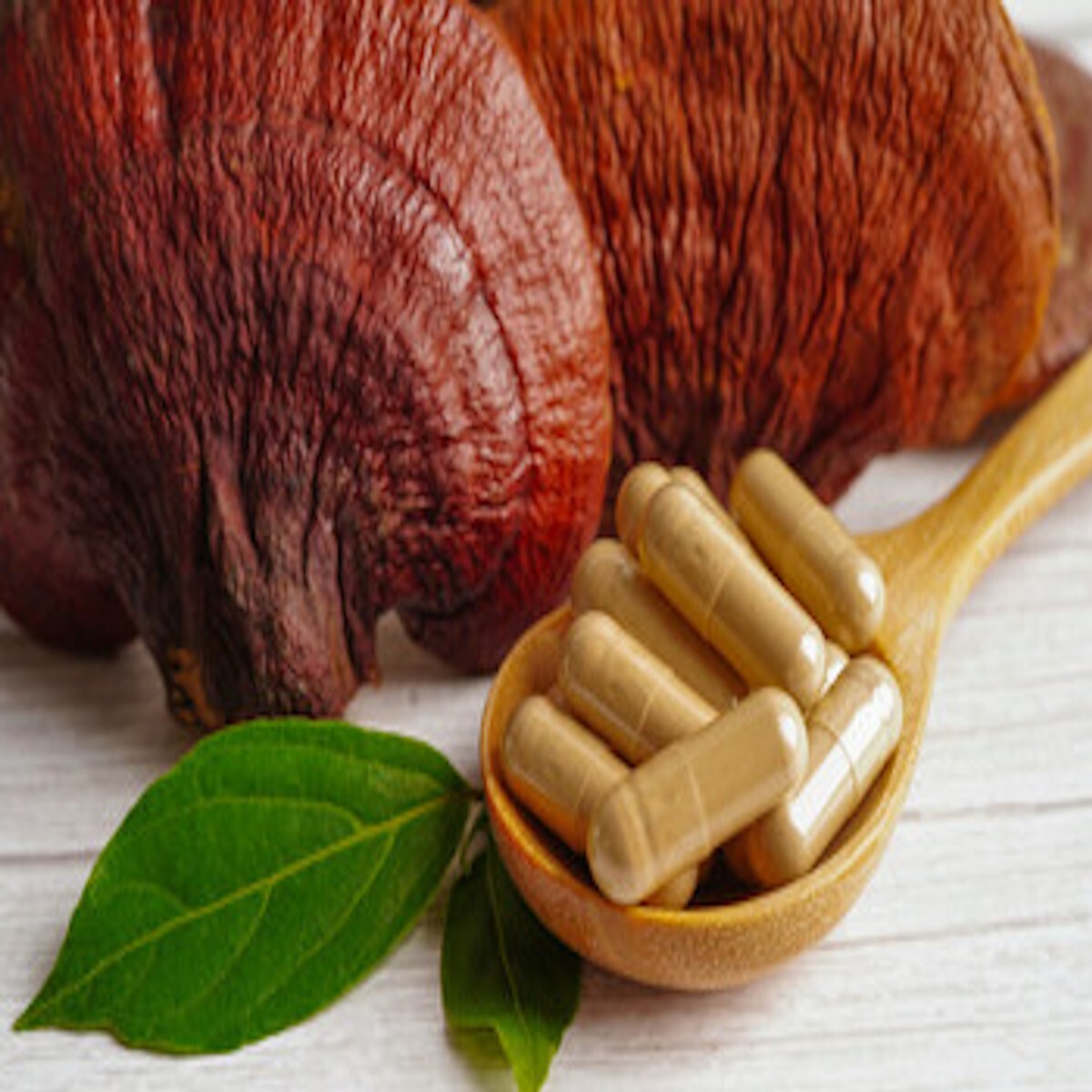 Red Reishi Extract 4:1 – Dual Extracted – Mushroom Powder – 100 veggie caps